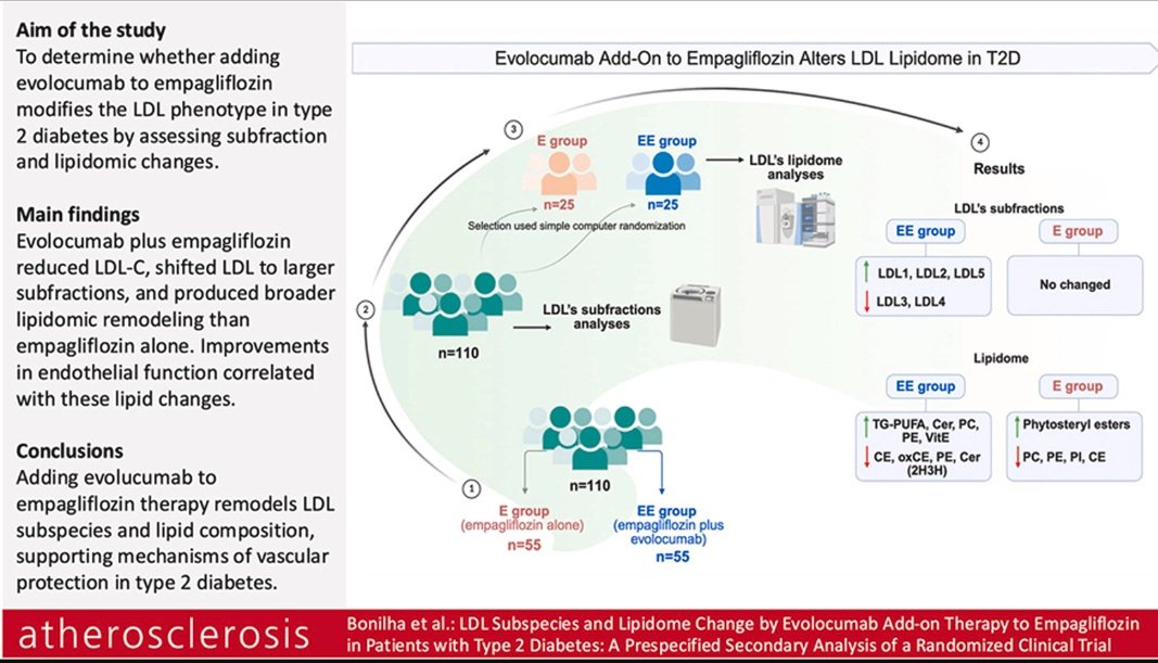 LipidoSEEN tweet media