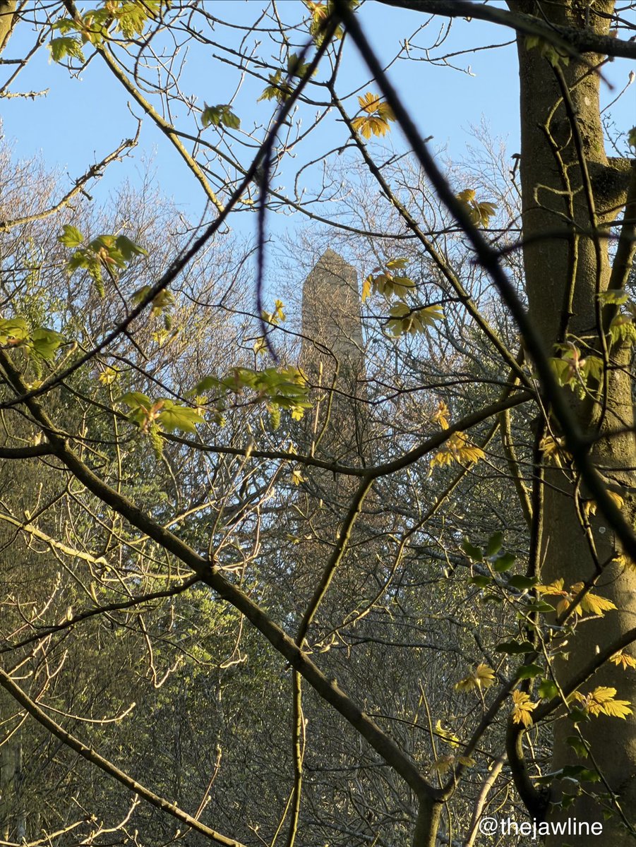 thejawline's tweet photo. Followed the Forest path up to the top of Oliver’s Mount to view the view… #scarborough #castle #warmemorial #obolisk #yorkshire #bluesky #settingsun #dappled #sunlight #blossom https://t.co/CguKCcLUPw