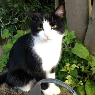 𝑝𝑢𝑟𝑒 tweet media