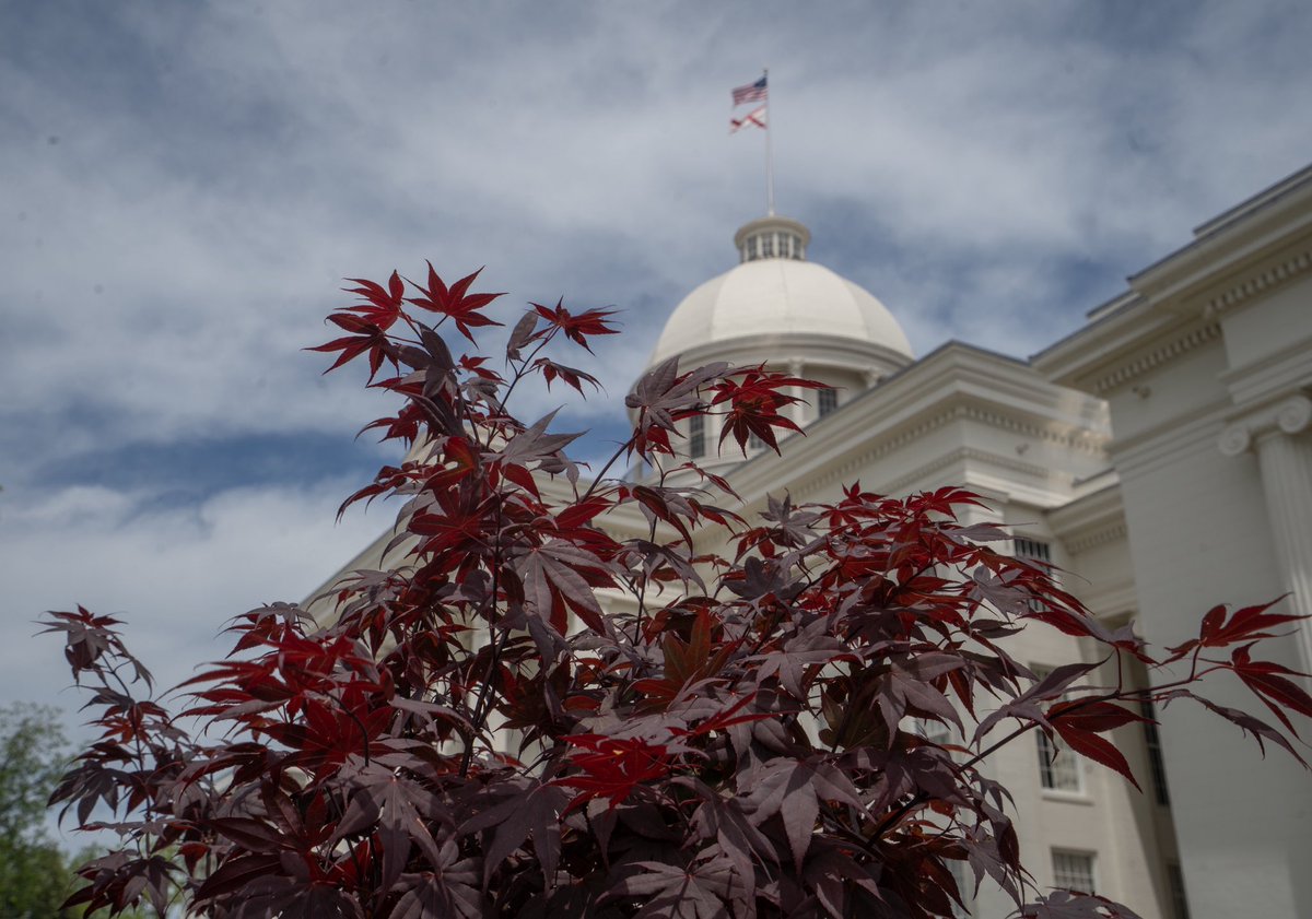 April gave us a beautiful, sunny afternoon to plant a tree on the Capitol grounds. I was glad to spend it with students celebrating Arbor Day.

We could all afford to get our hands in the soil a little more and work to keep Alabama beautiful for generations to come. #alpolitics
