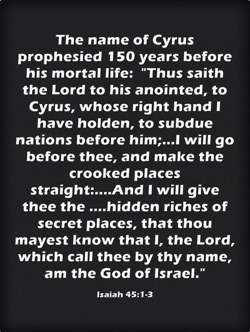 America Wins tweet media