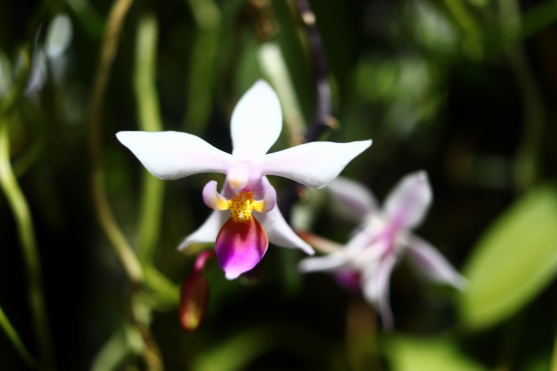 【NK】 tweet media