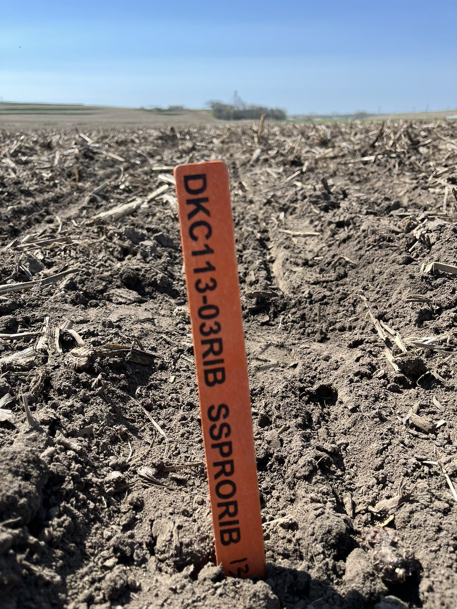 SWIA Seed & Crop Update tweet media