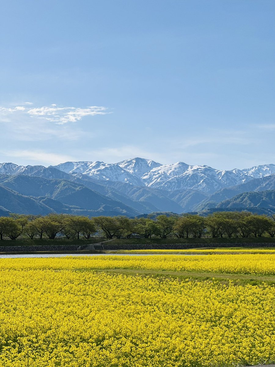 なつめ tweet media