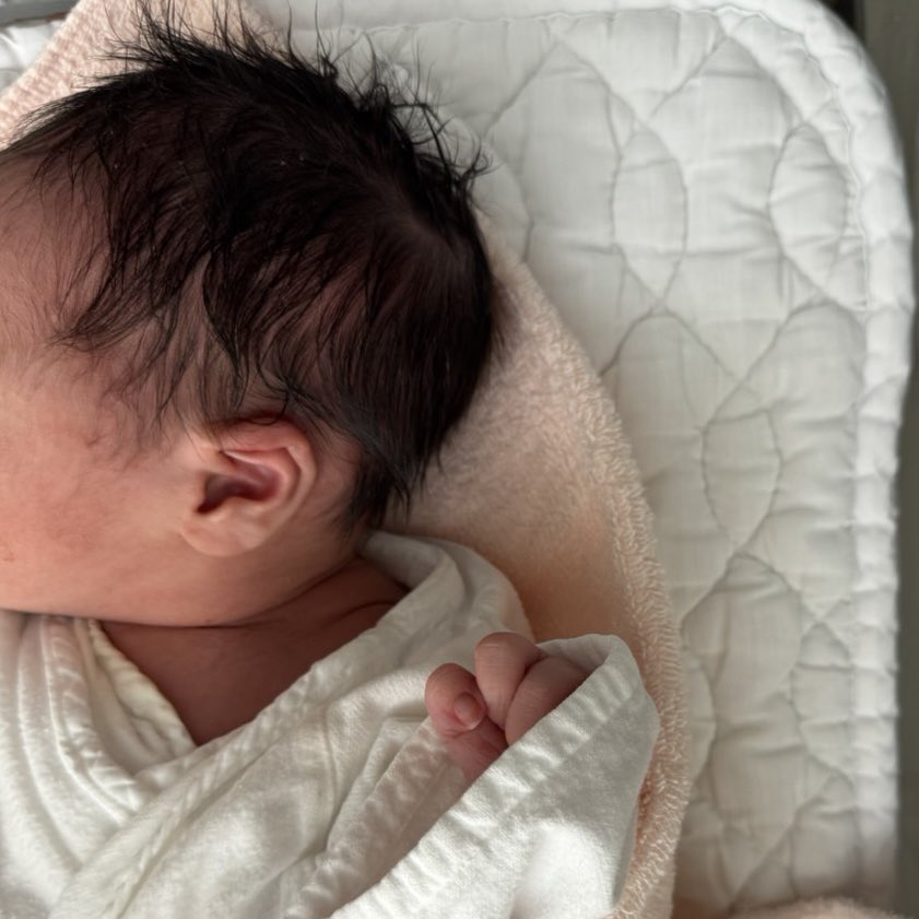 ﾐｶﾝ・ﾁｬﾙﾊﾉｰﾙ🍊 tweet media