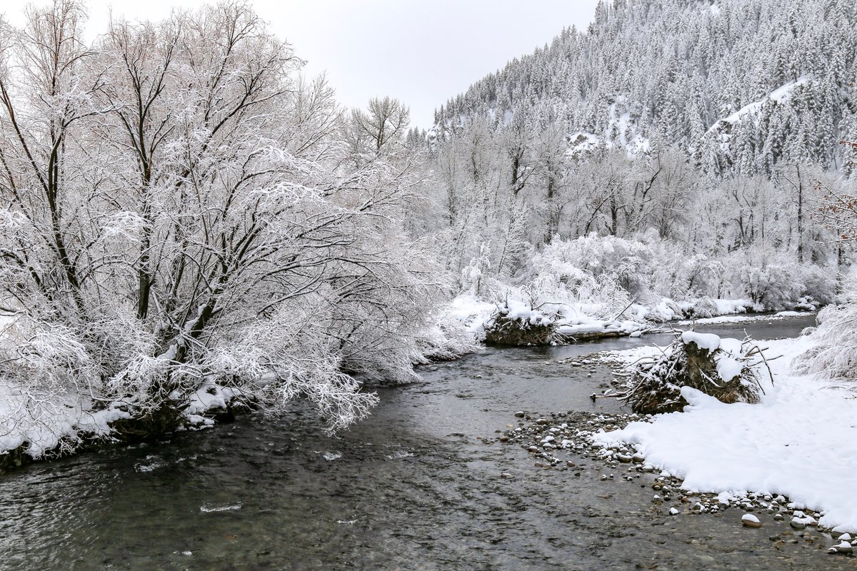 The Fly Fishing Place tweet media