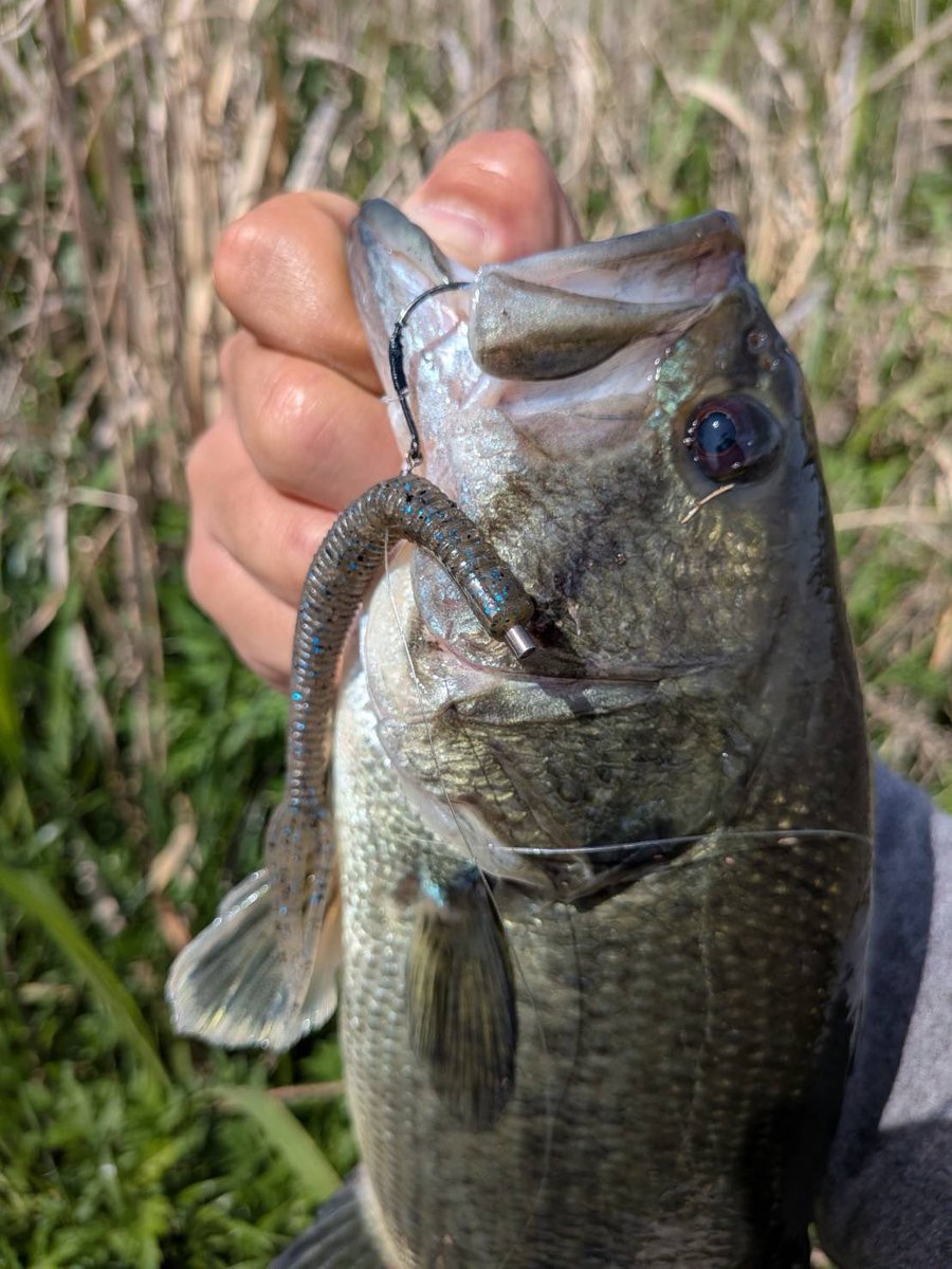 村川勇介@FTK126 tweet media