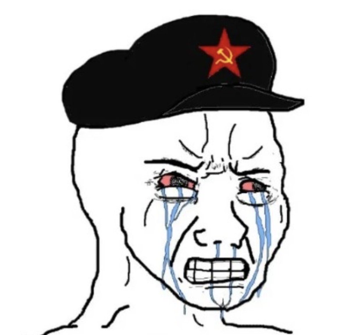 Quandona tweet media