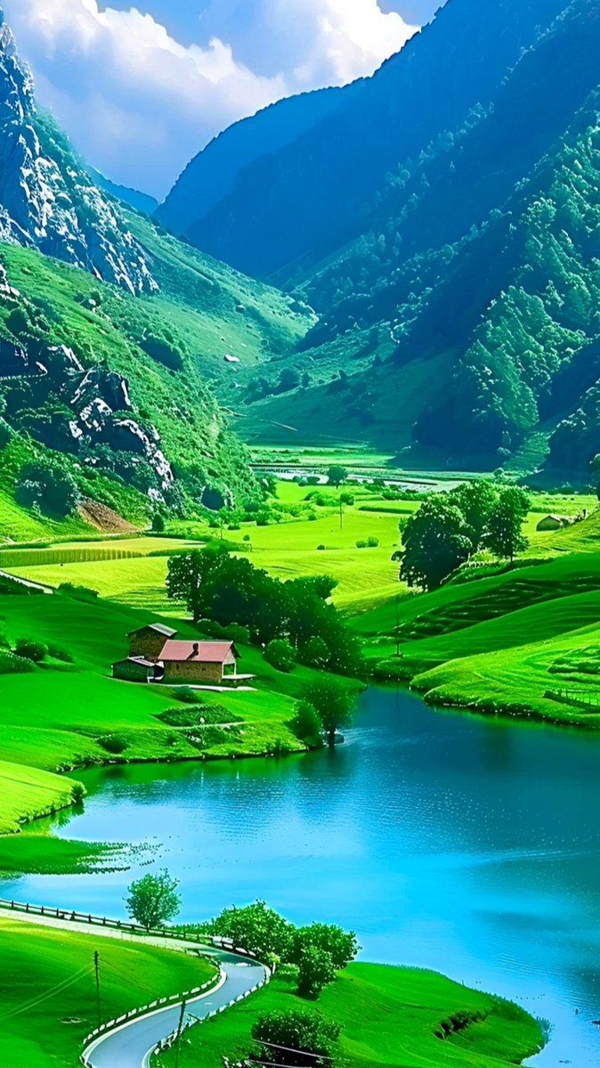 Ashley Harris tweet media