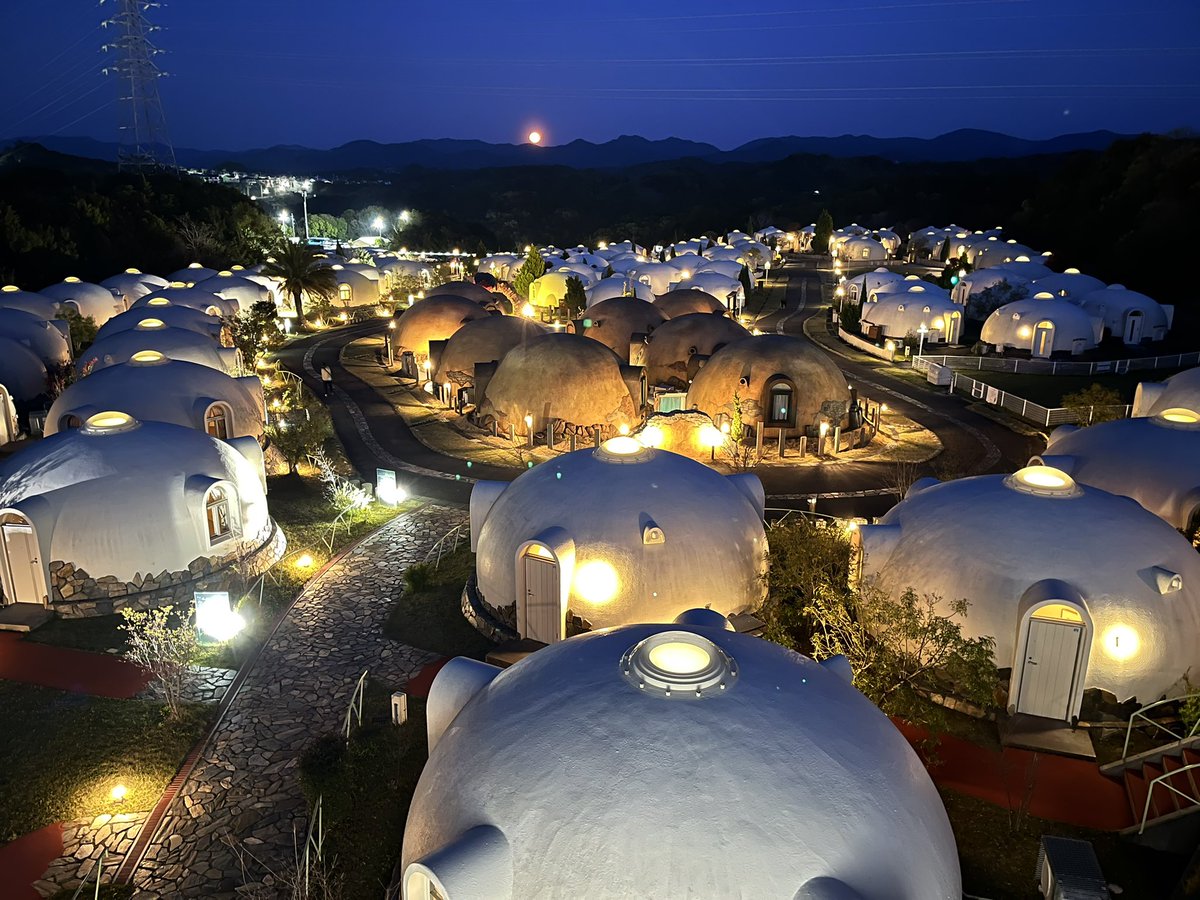 POID(元たぐっぽいど) tweet media