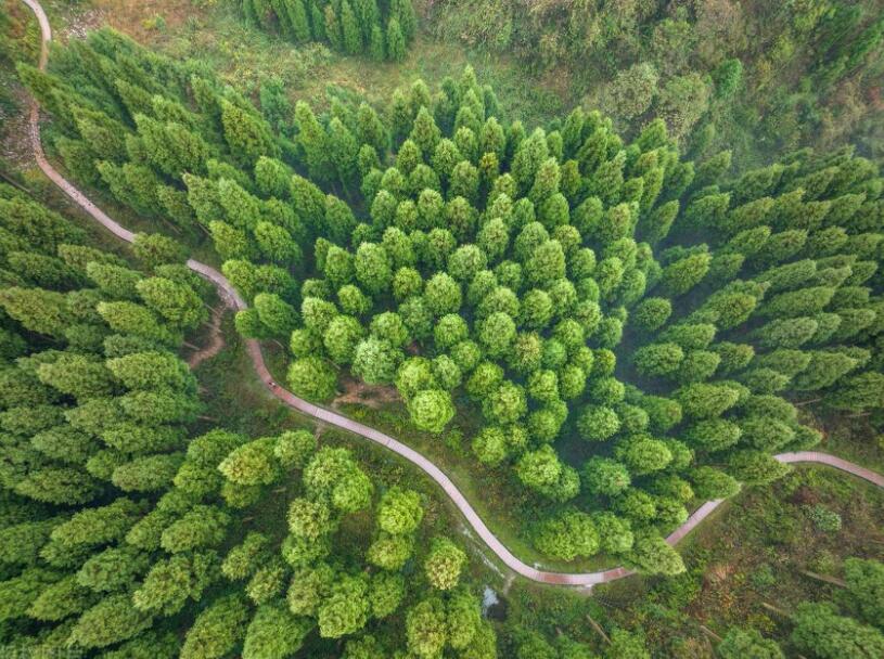 Cody Richard tweet media