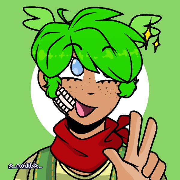 Bean the Dynamite 💣 tweet media