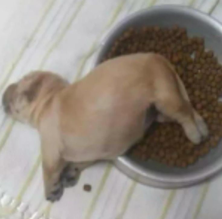 mih ⋆˚࿔ | vai ver o enha⁷ !! tweet media