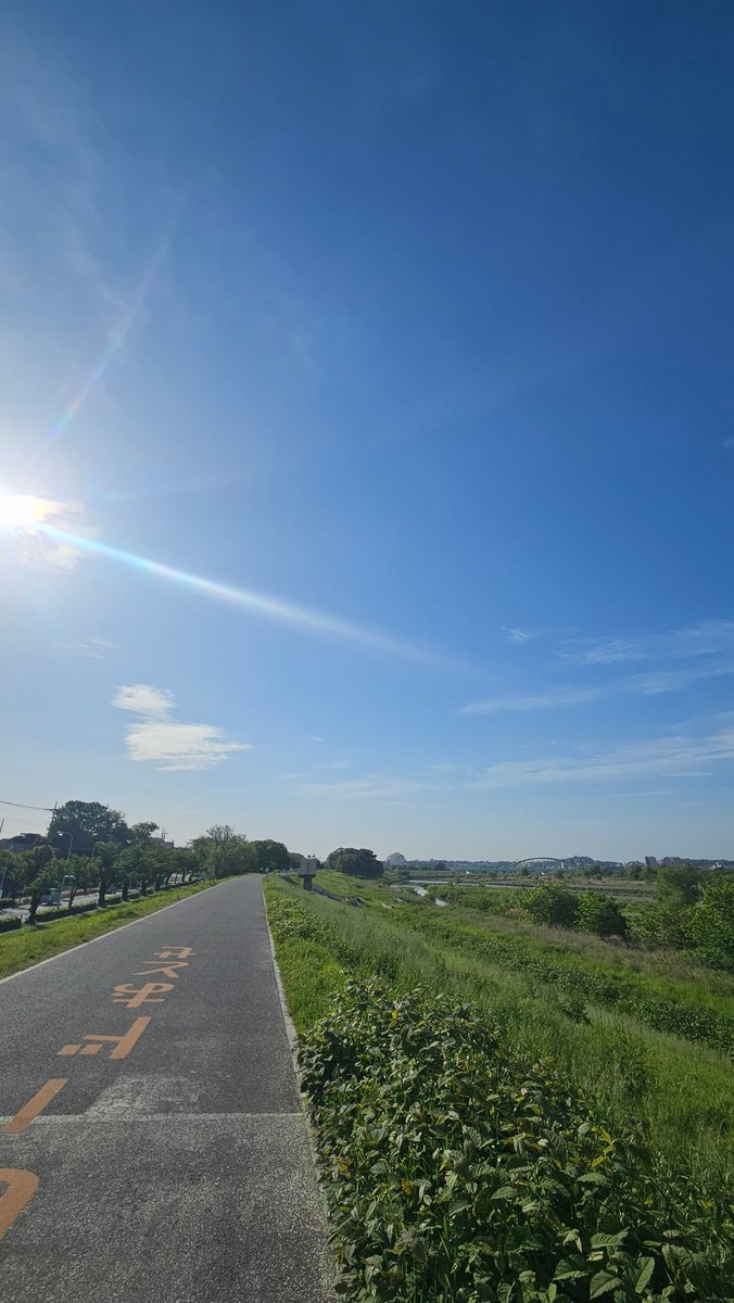 ウサコ tweet media