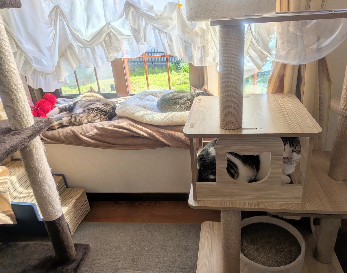 ❦みいみい❦ tweet media