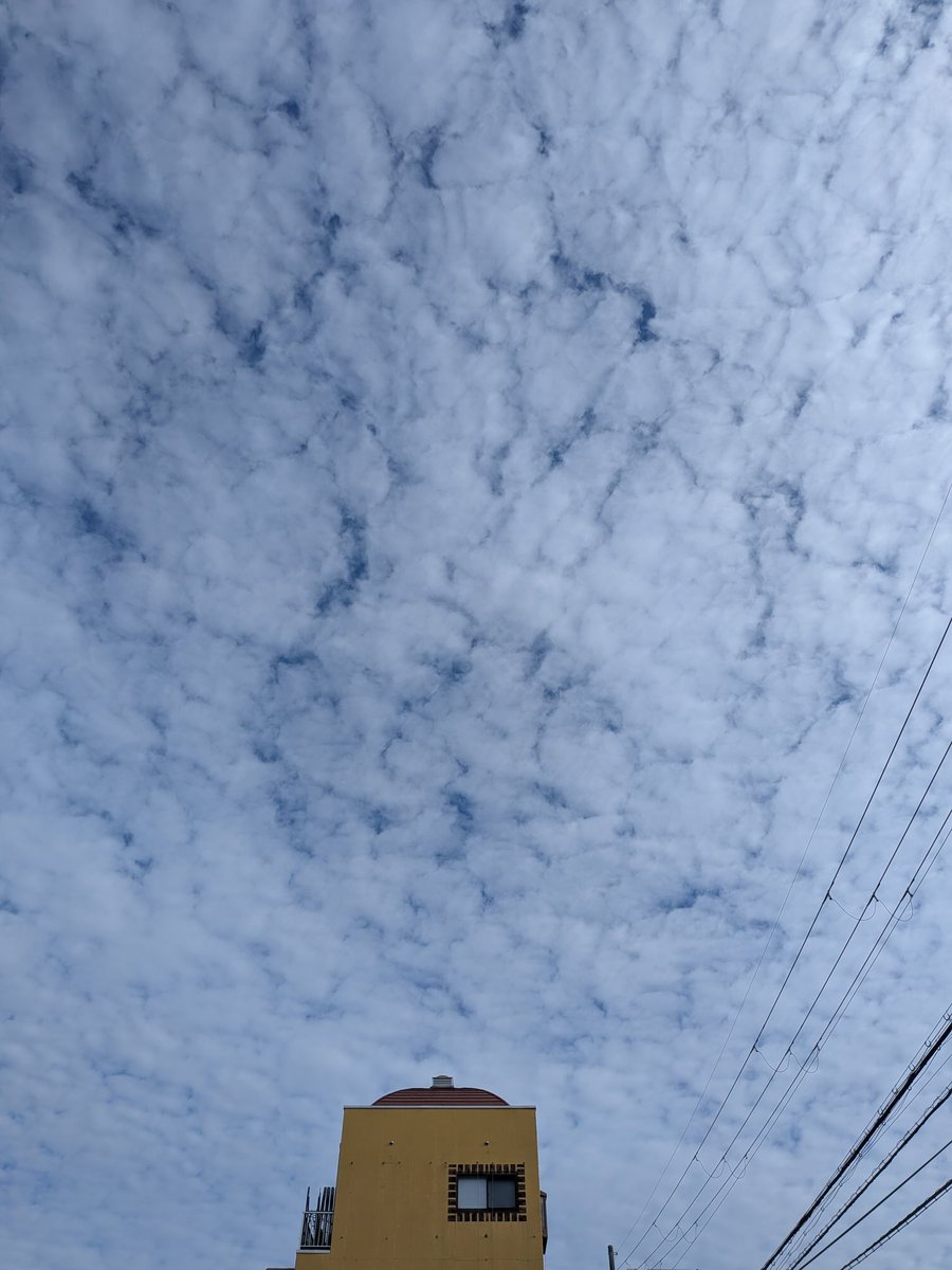 今日は晴れ！仕事量が半端ない😤頑張ります。