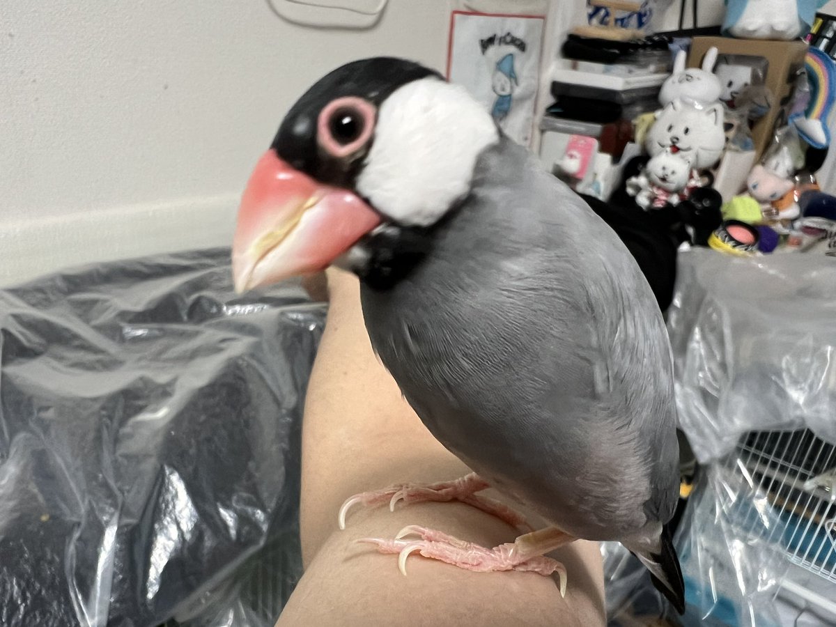 おはようございます🌤️