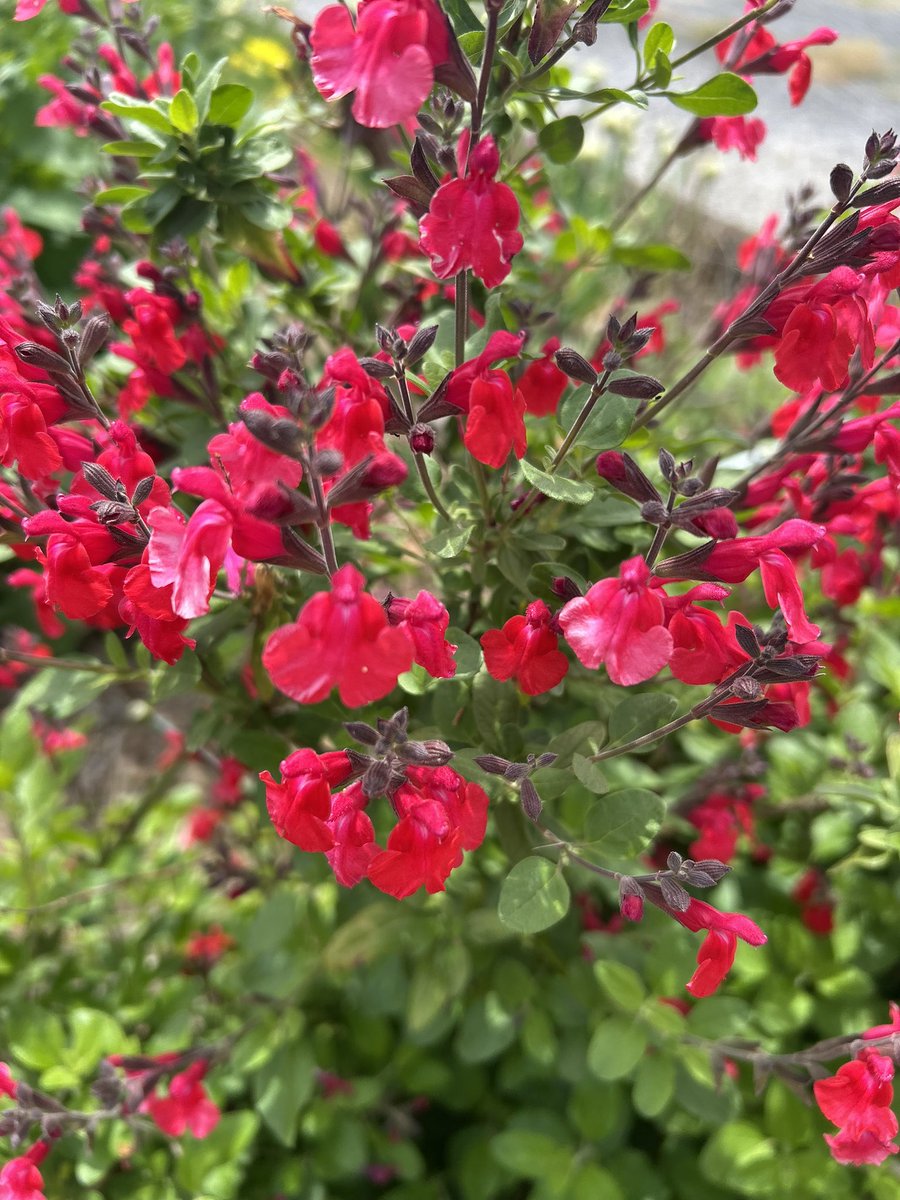 mori♡mori tweet media