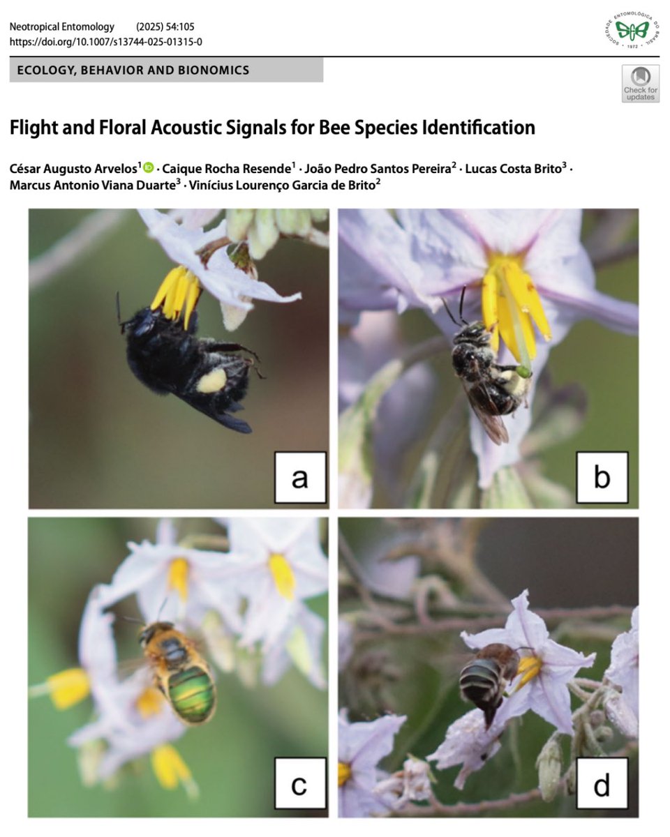 Neotropical Entomology tweet media