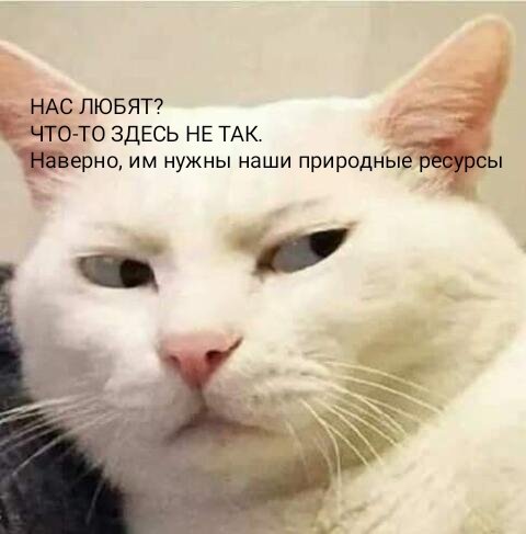 Мисс Кокошник tweet media