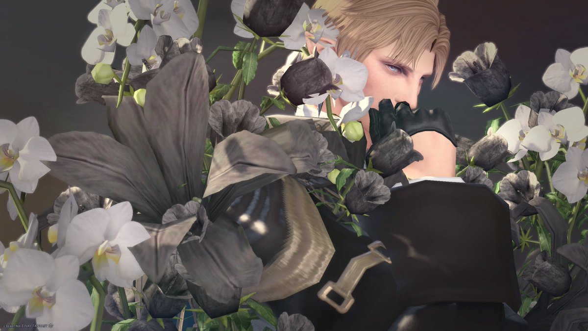 𝐦𝐞𝐥𝐭𝐲 tweet media