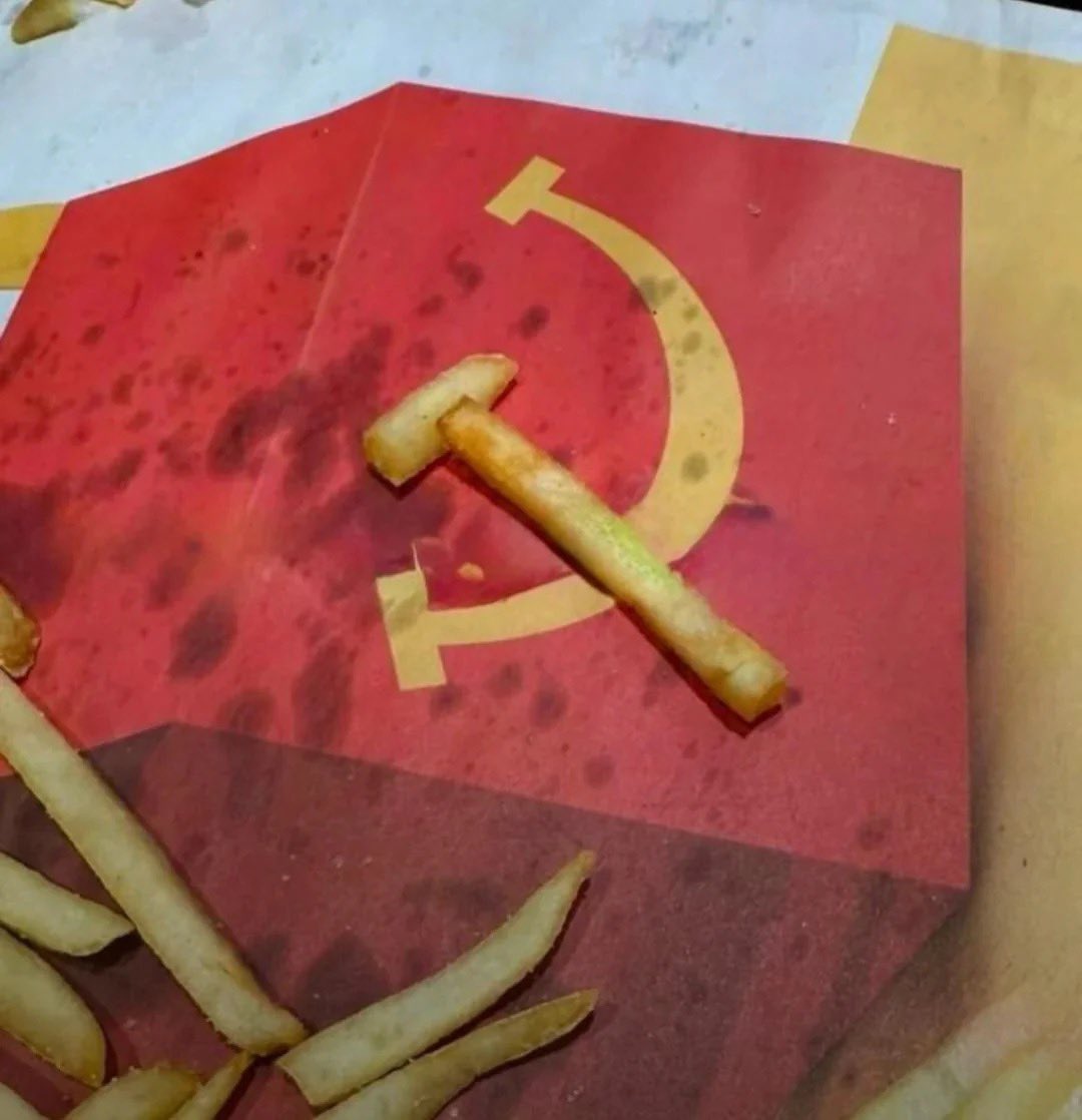 NO CONTEXT HUMANS (@humansnocontext) on Twitter photo 