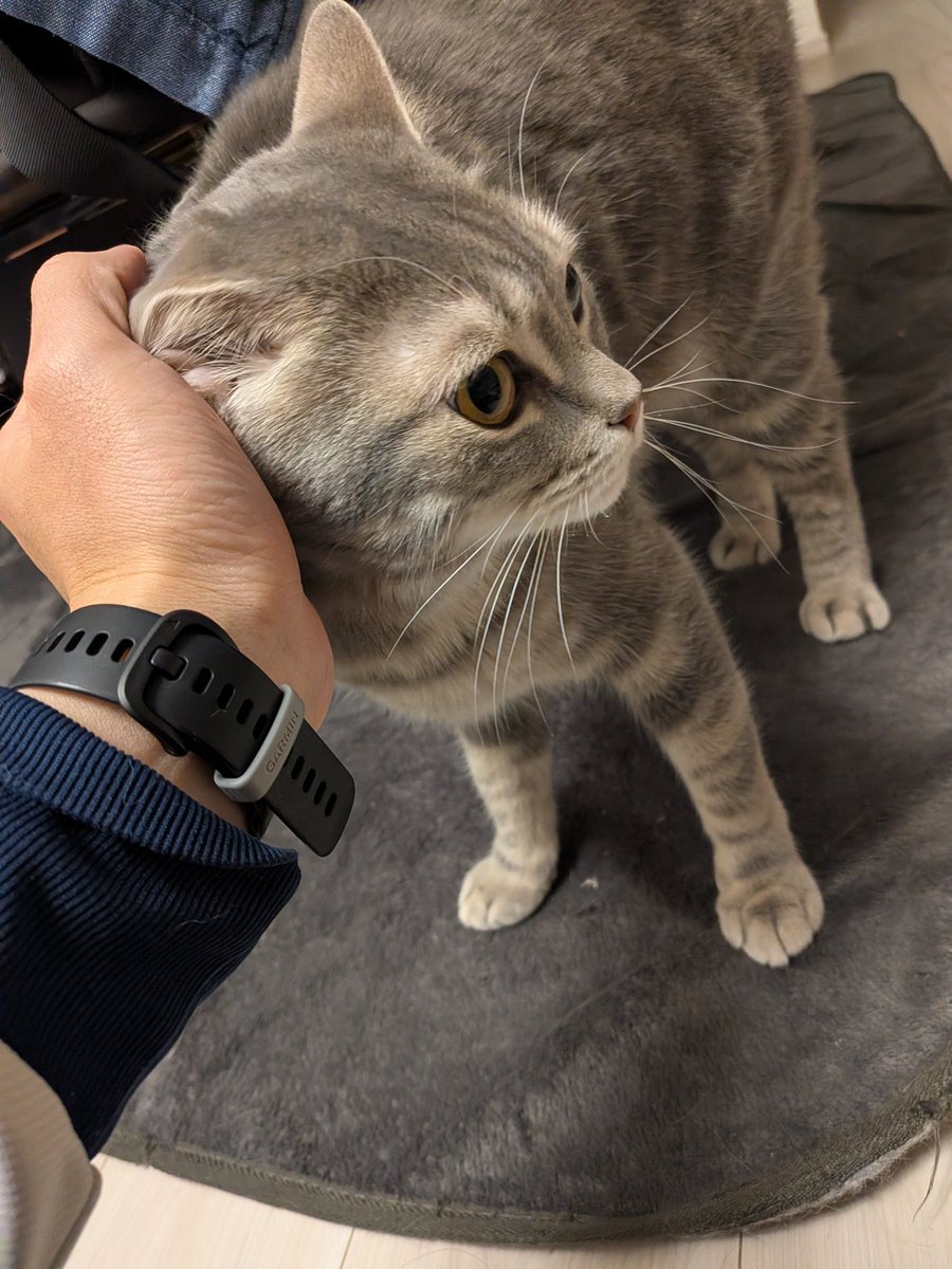 あぴお＆リク君 tweet media