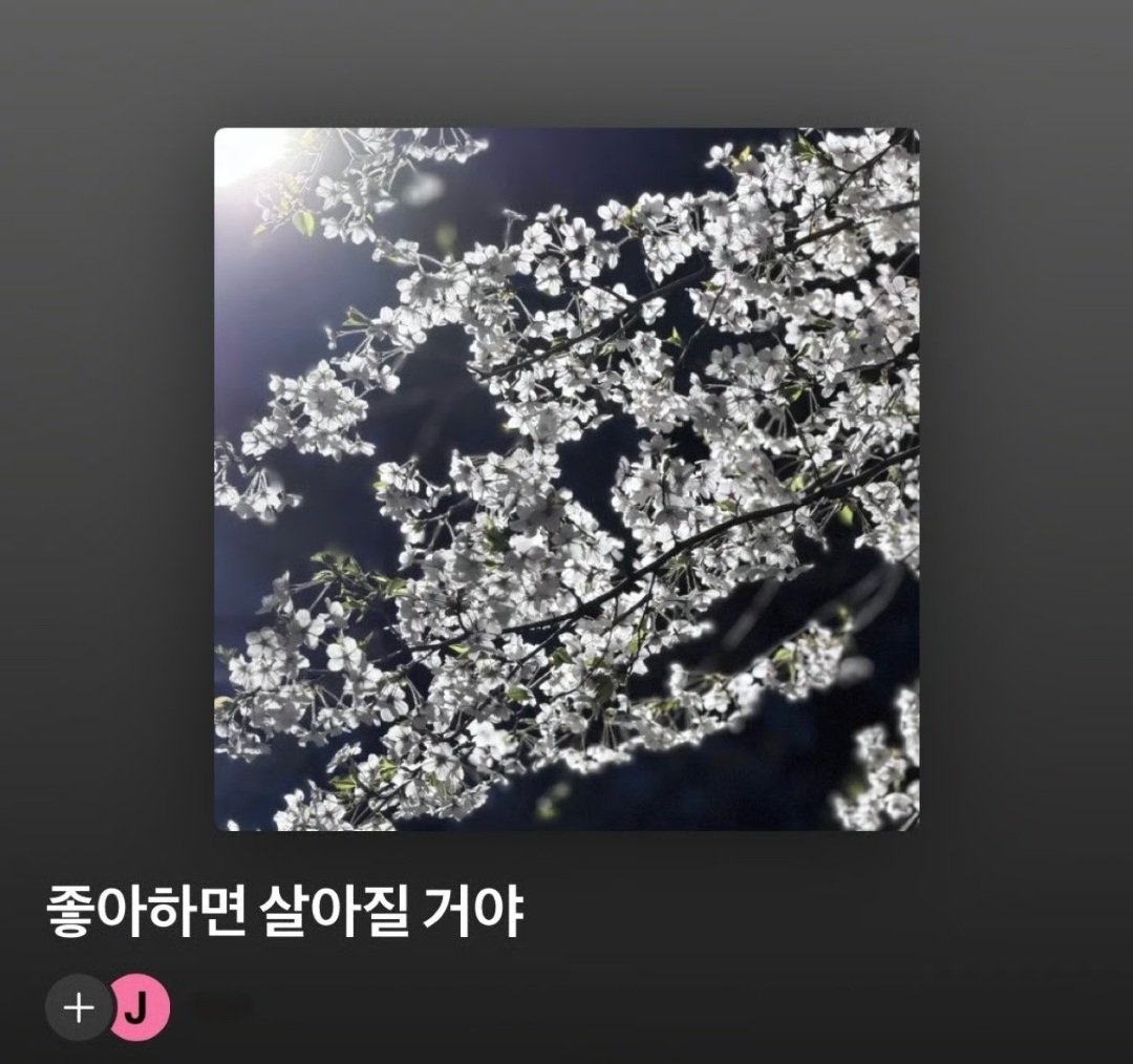 xikerseurope's tweet photo. 𝗠𝗜𝗡𝗝𝗔𝗘 💌 𝗧𝗢𝗞𝗧𝗢𝗤
Spring Playlist By MJ🌸
#xikers #싸이커스 #MINJAE #민재 #TOKTOQ #roady #로디 https://t.co/qeydwfApGl