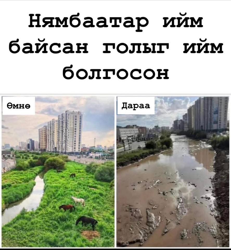 Enkhee Edelweiss tweet media