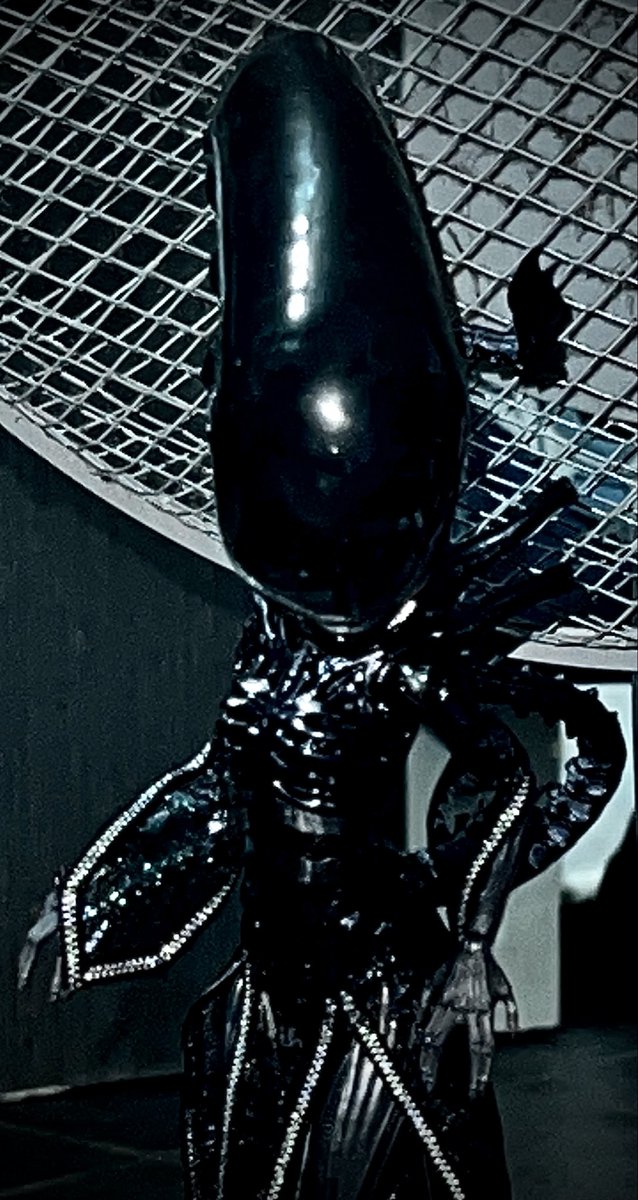 ✨Harley stein 🏳️‍⚧️🧟‍♀️✨ tweet media