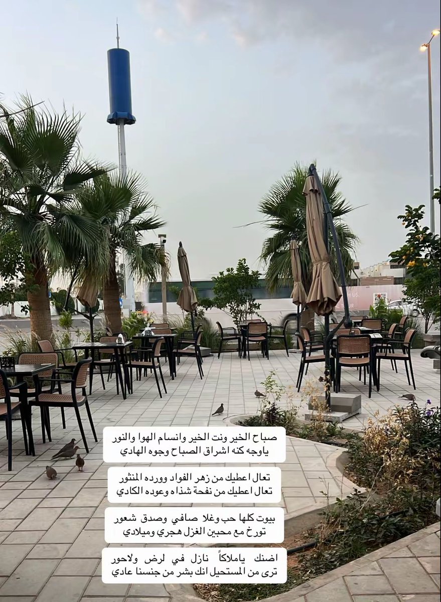 Mh6xil's tweet photo. صباح الخير ونت الخير وانسام الهوا والنور
ياوجه  كنه  اشراق  الصباح  وجوه  الهادي

#مهدي_منير https://t.co/k4iUdTBP9p