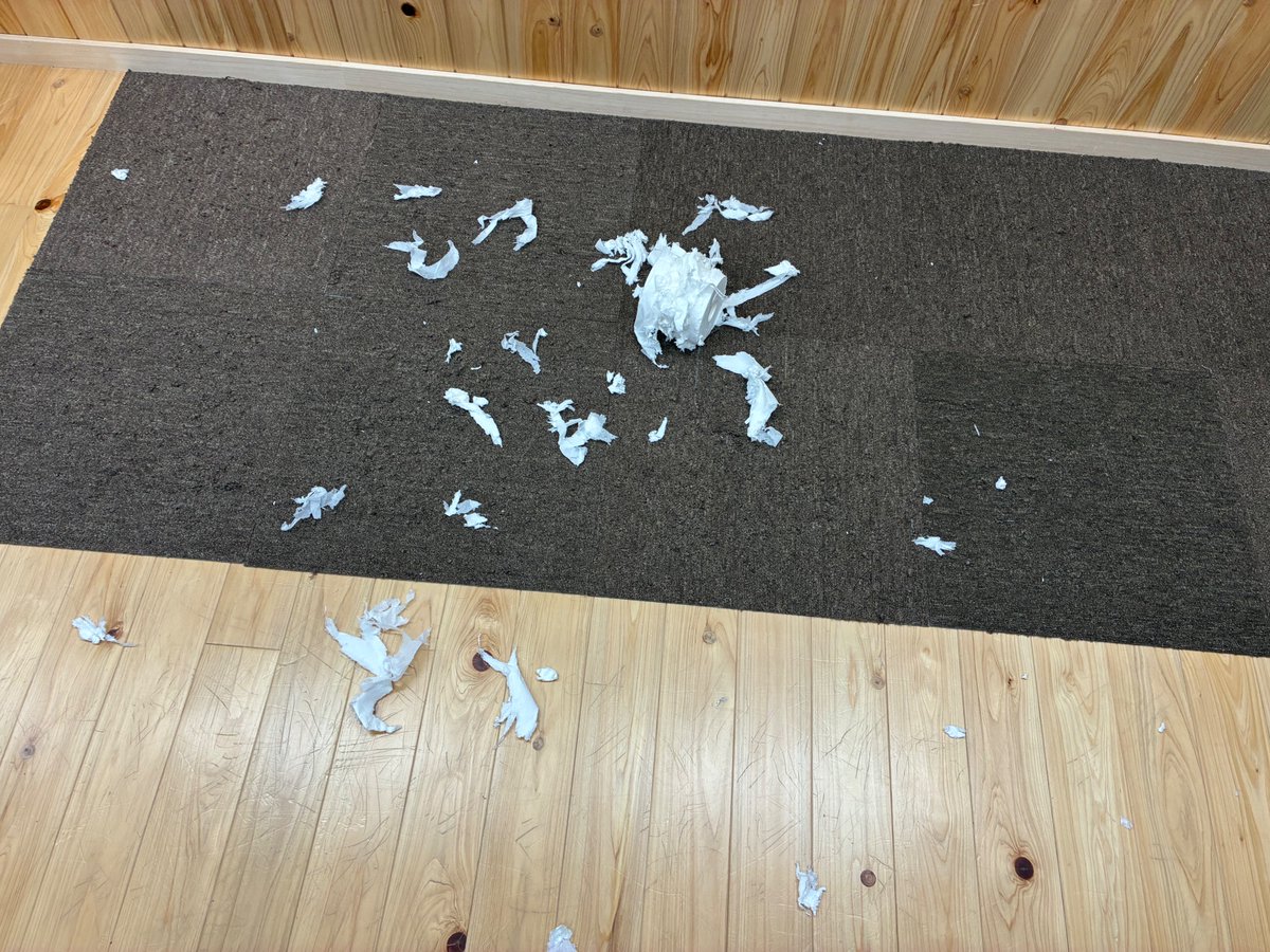 キジネコ様 tweet media