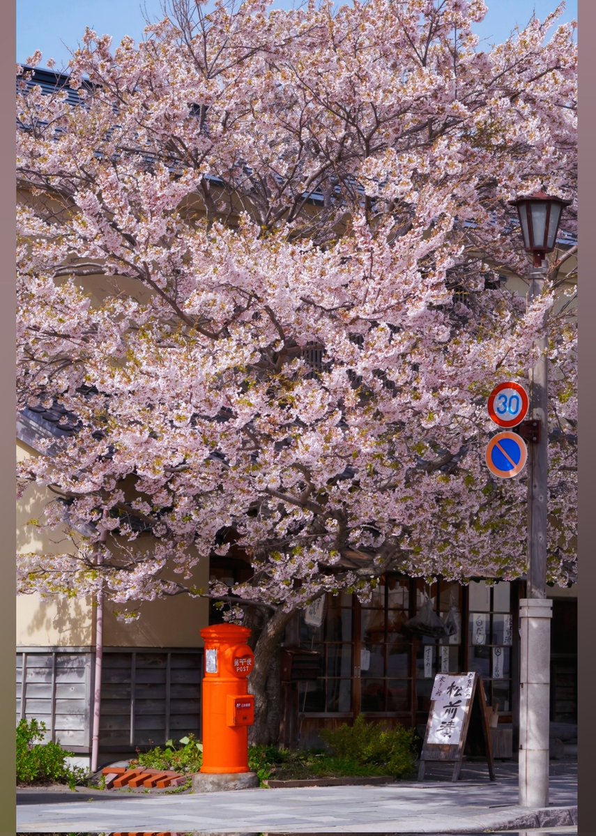 hanamaru tweet media