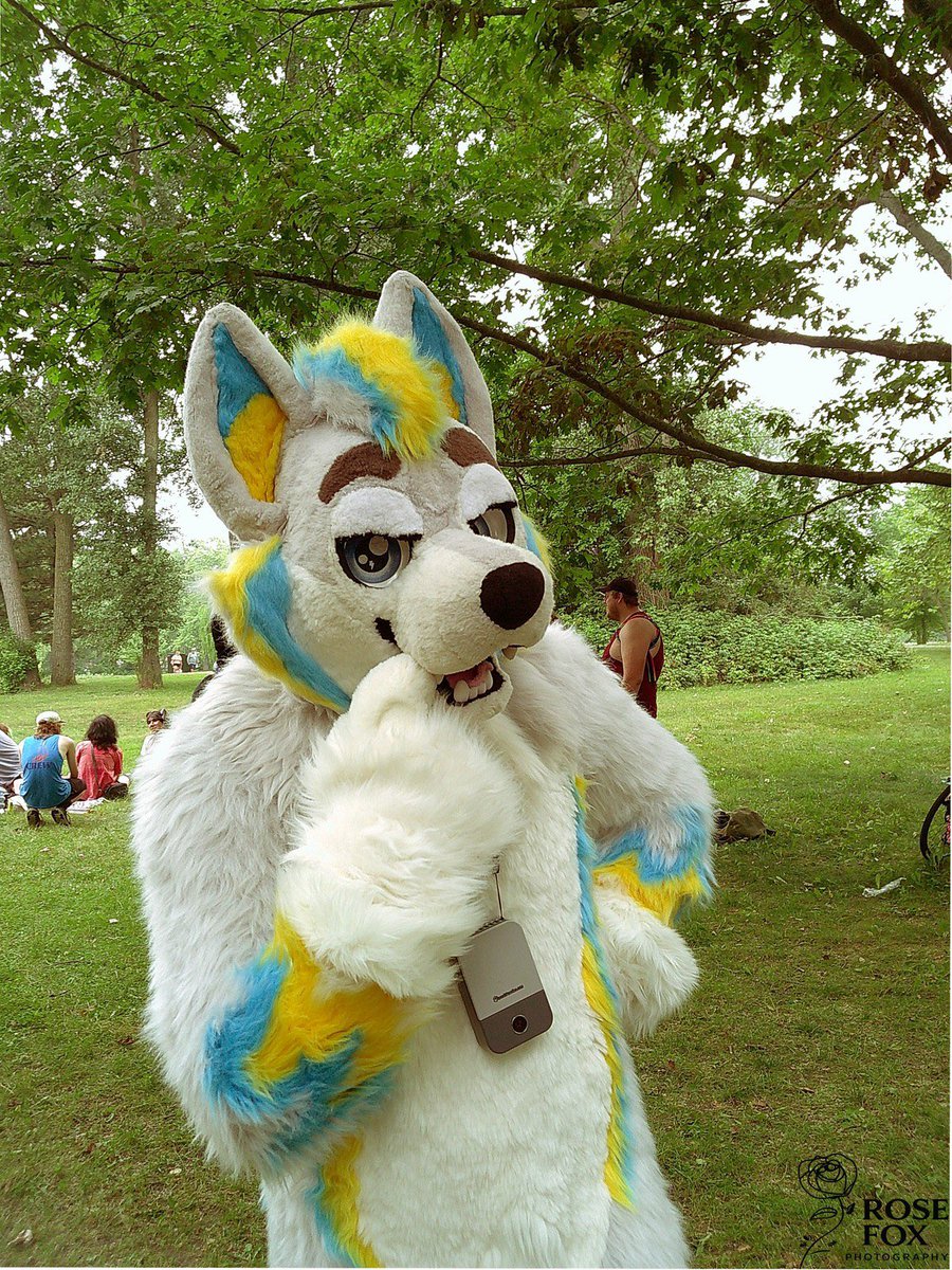 Spark Husky tweet media