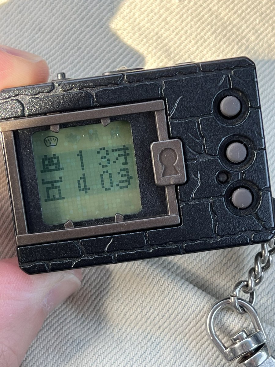 デビモンは13才！
トレーニングをまめにしてるからかなりスリムな状態w

進化は狙ってません🫡