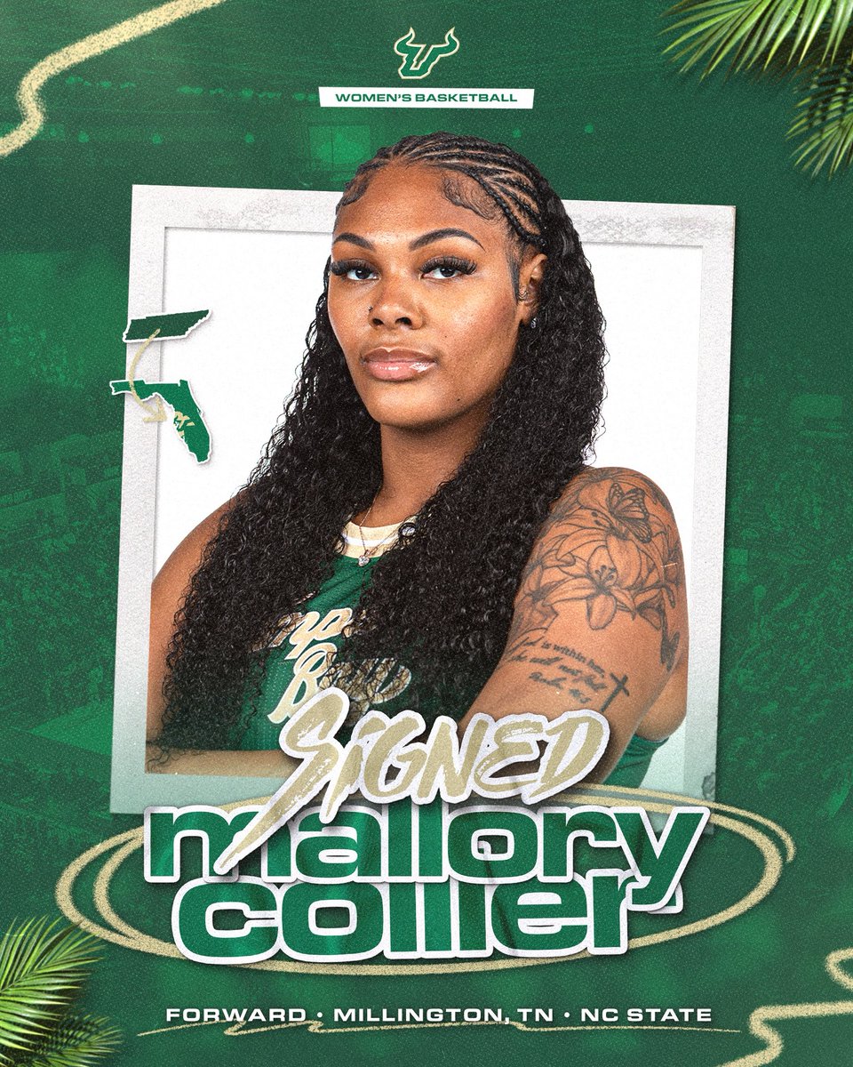 USF Women's Basketball tweet media