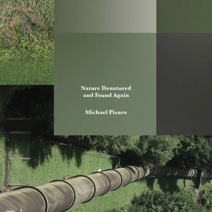 Noah©️ tweet media