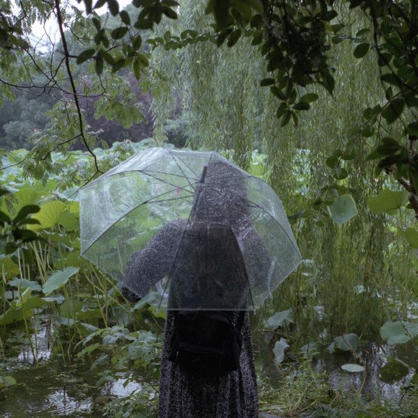 Noah©️ tweet media