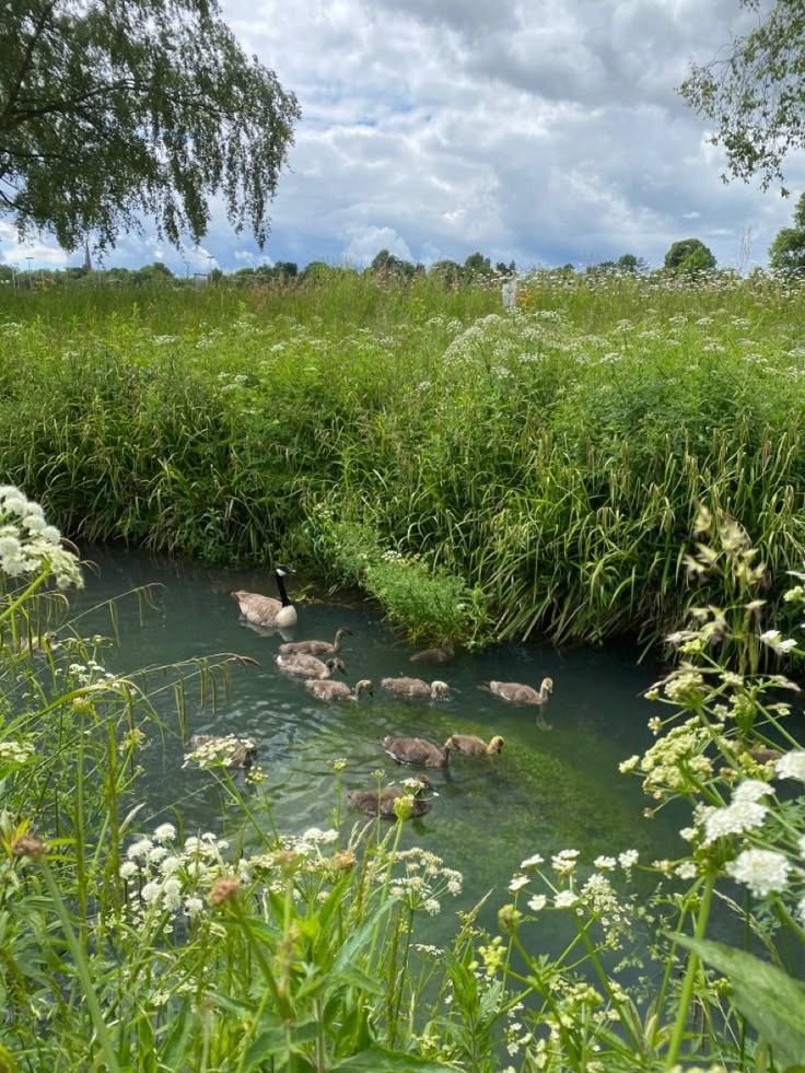 𝑒𝑙𝑦𝑟𝑎 tweet media