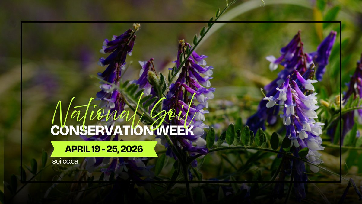 soilcouncil's tweet image. Soil erosion can happen quietly, but its impacts can last for years. Protecting soil with residue cover, perennial vegetation, shelterbelts, and thoughtful management helps keep this valuable resource in place.

#NSCW2026 #SoilHealth #CdnAg #SCCC
