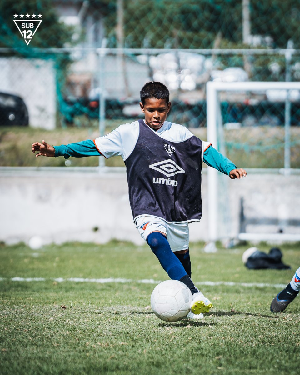 Formativas_LDU's tweet image. Pequeños hoy, gigantes mañana 💪⚽

#U12 #MiniGuerreros