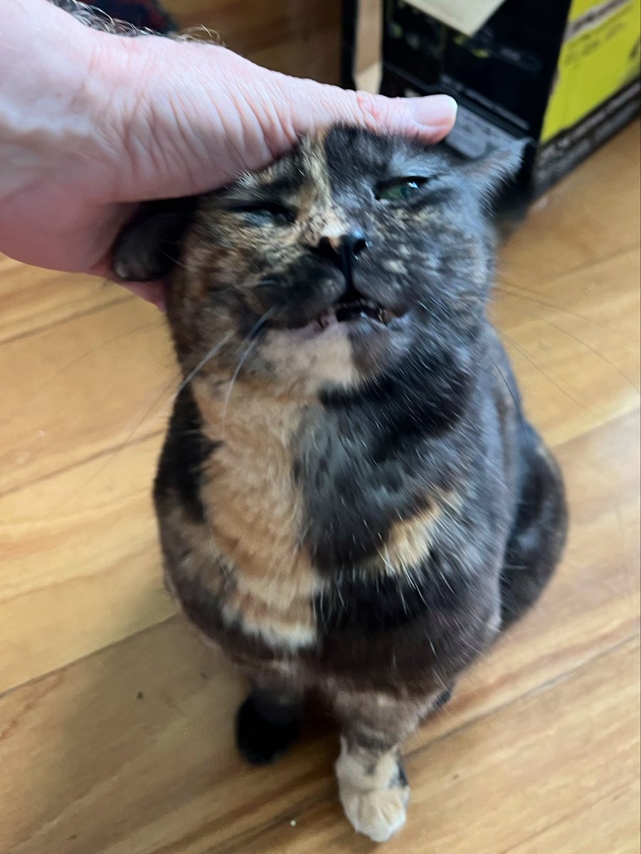 Dave Krantz tweet media