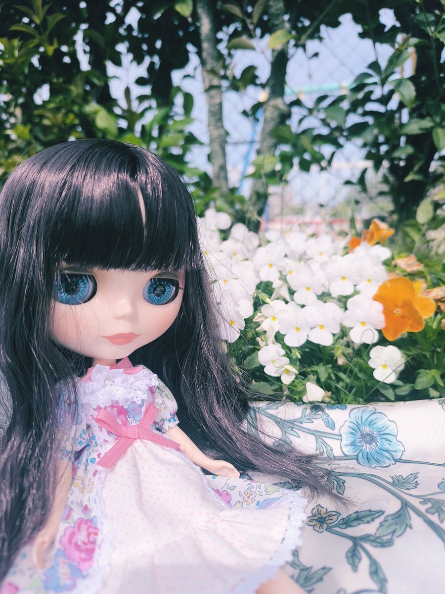 lovedauphine's tweet photo. おはようございます🍀.*
昨日は足の捻挫も良くなりウォーキングへ
9km

ツツジの綺麗な季節になりましたよねー
 #ブライス  #blythe https://t.co/lztNtov9ON