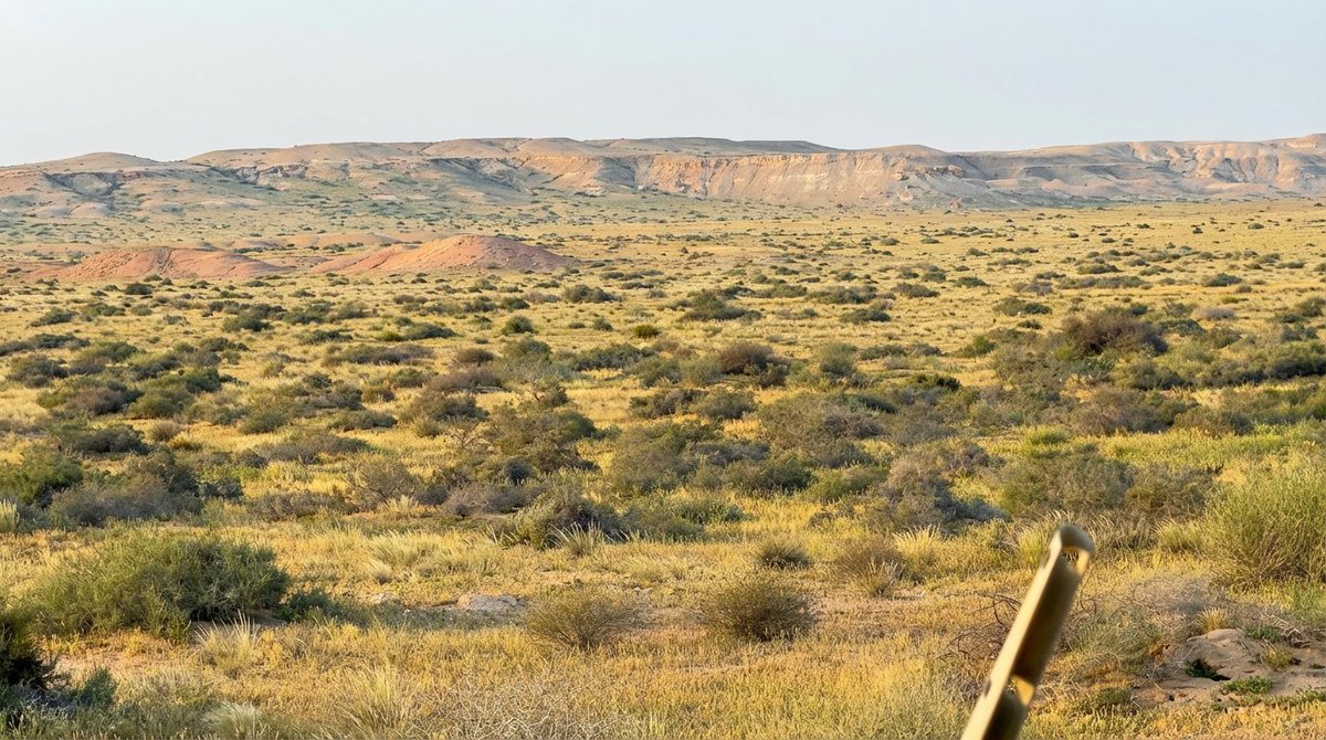 الأرضُ تشكو للسماء بأنها
باتت لها دهرًا  بغير رداءِ

حتى أتى لطفُ الإلهِ بزخّةٍ 
 نسجتْ لها ثوباً من النعماءِ

                                     محمد أبوفاس