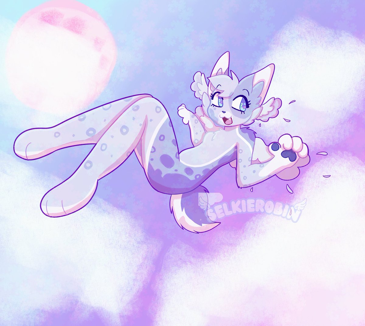 ˚₊‧꒰ა SelkieRobin ໒꒱ ‧₊˚ tweet media