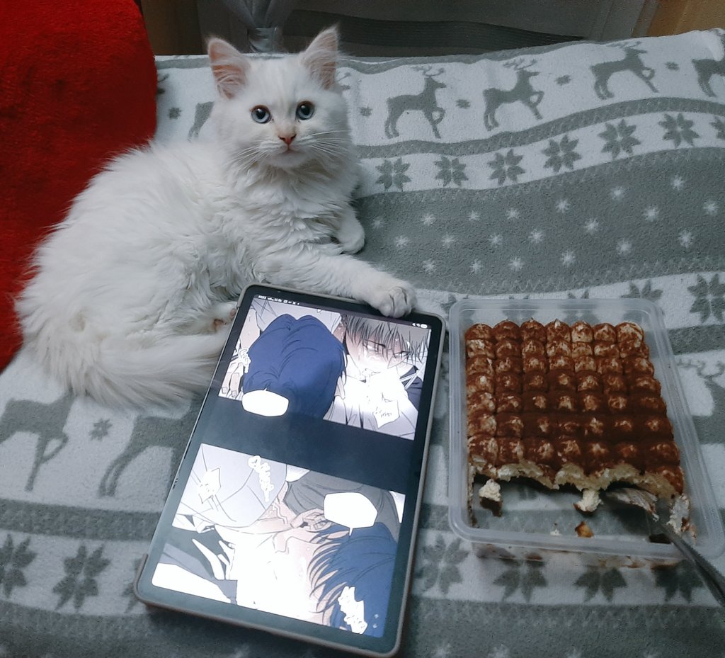 Tomek loves Randal! 🐈 tweet media