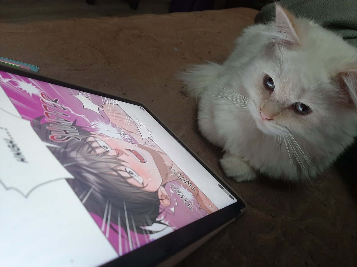 Tomek loves Randal! 🐈 tweet media