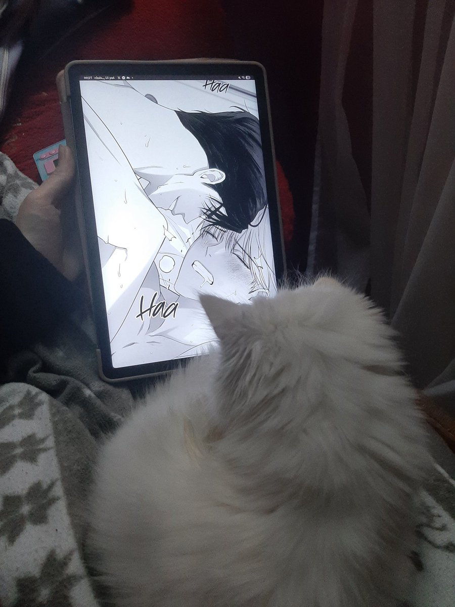 Tomek loves Randal! 🐈 tweet media