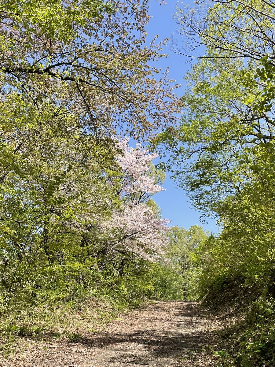 みかえる tweet media