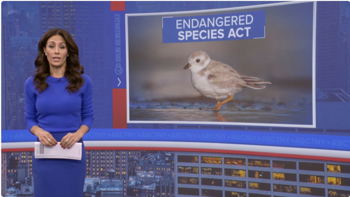 Endangered Species Coalition tweet media